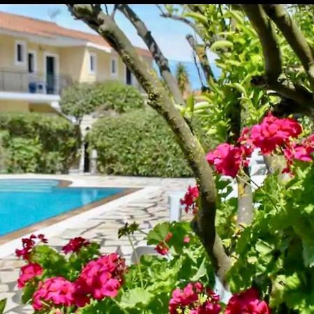 Lemon Tree Apartments B C Argostoli  Zewnętrze zdjęcie