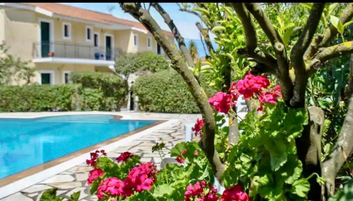Lemon Tree Apartments B C Argostoli  Zewnętrze zdjęcie
